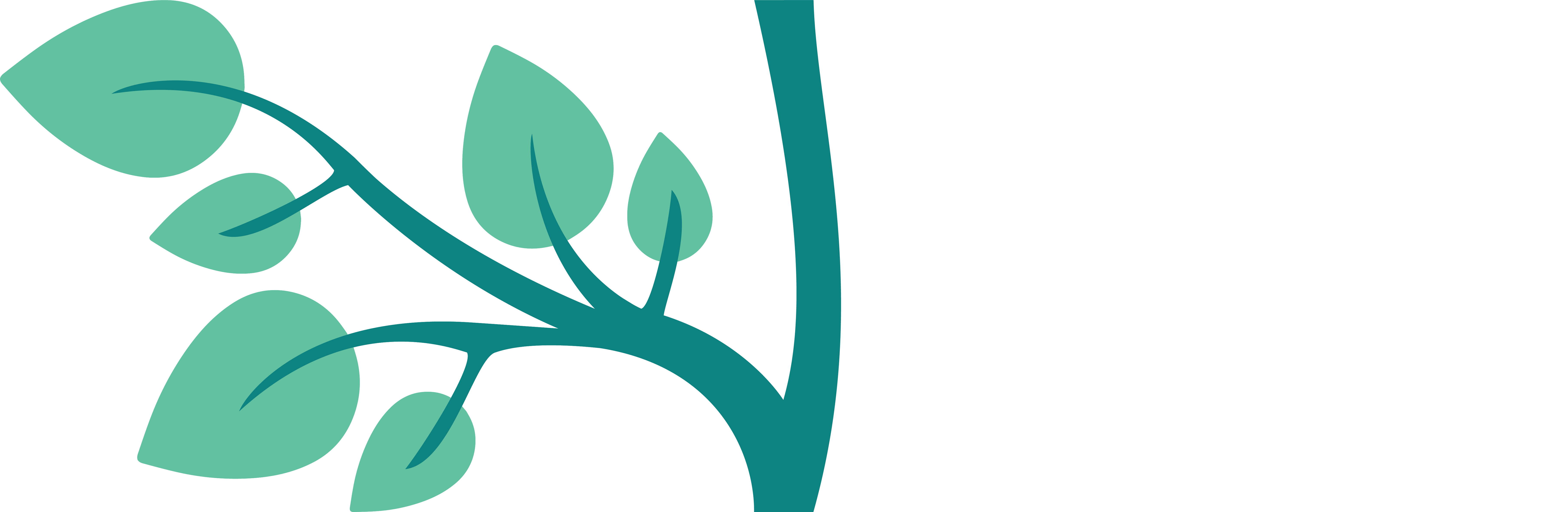 terdorpe tree branch left