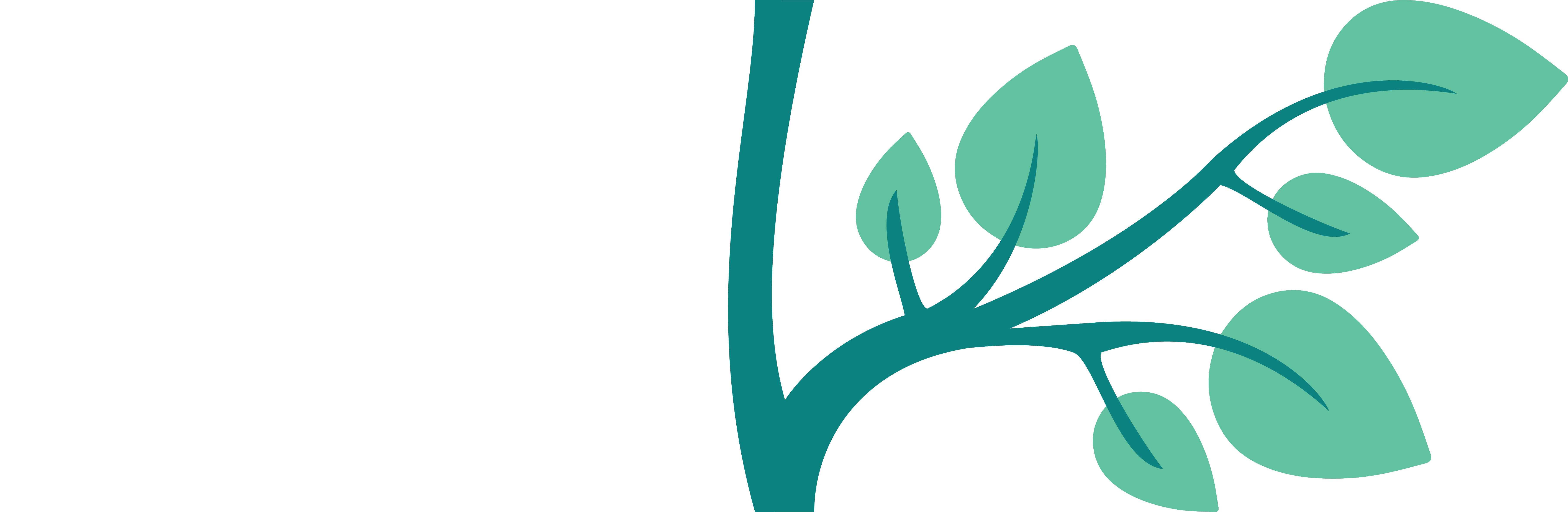terdorpe tree branch right
