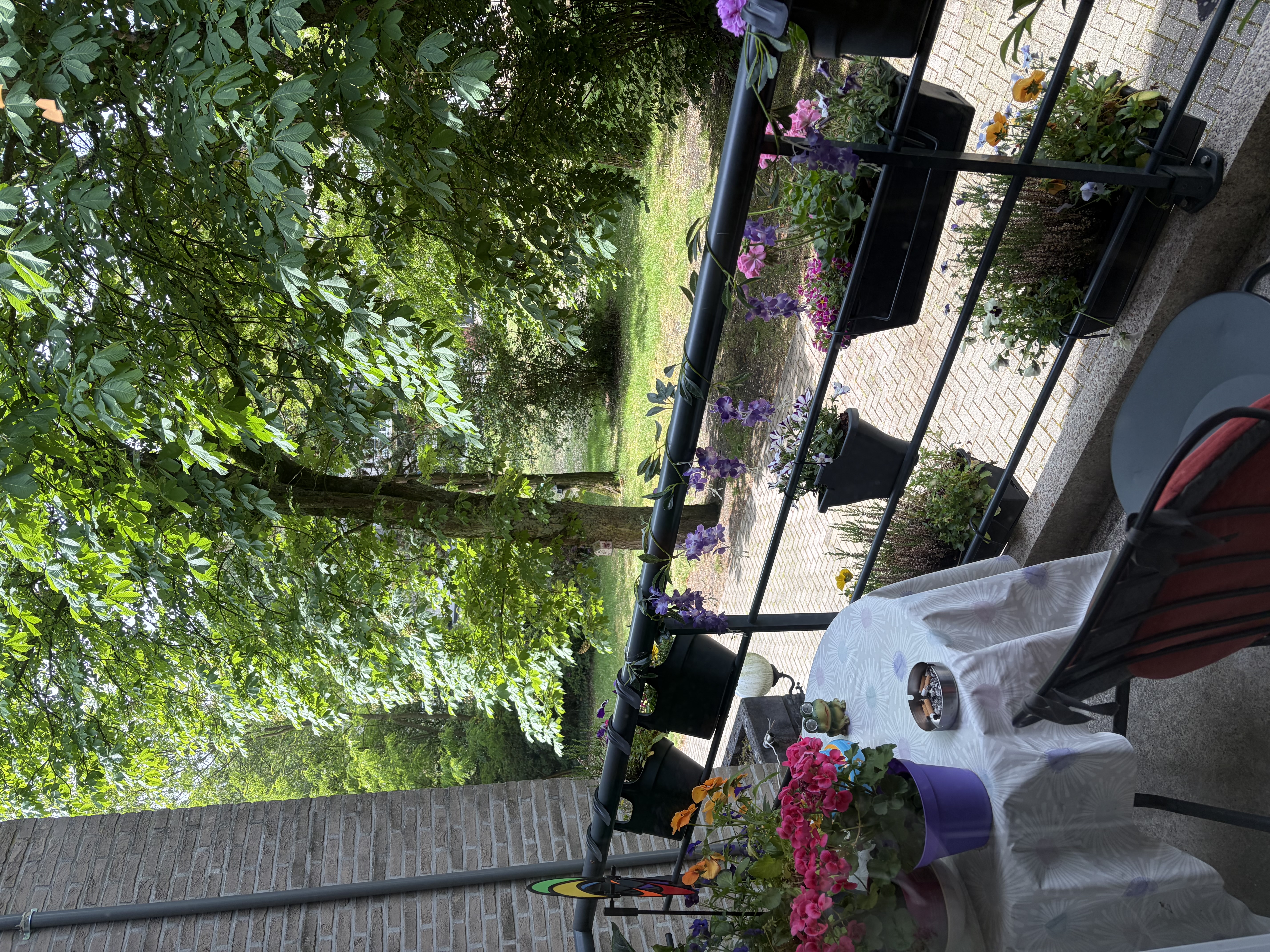 img-7685.jpeg